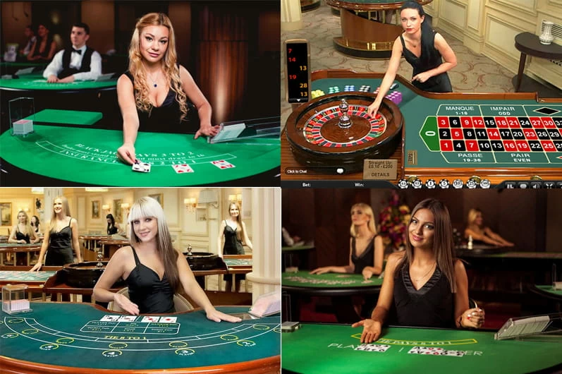 หน้าจอคาสิโนสดบนมือถือพร้อมข้อมูลโต๊ะและประวัติผลเกม